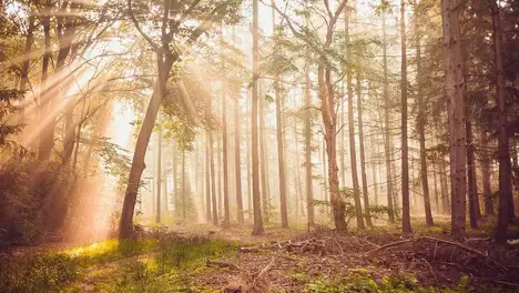 S41赛季版本之子出炉：孙策、镜、狄仁杰领衔五大位置最强上分英雄